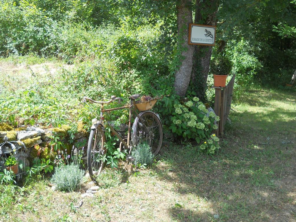 Le Domaine De La Genette Villa Paussac-et-Saint-Vivien Buitenkant foto